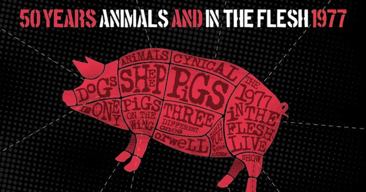 Pink Floyd Project — 50 years of Animals & In The Flesh Tour
